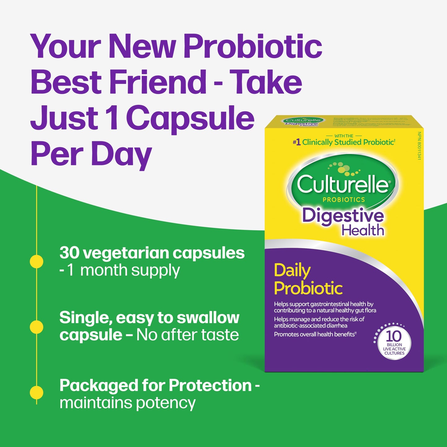 Culturelle Daily Digestive Health Daily Probiotic for Men and Women | With 100% Naturally Sourced Lactobacillus GG Strain †††††† | Pharmacist Recommended ††††† | Gluten Free and Vegan | 30 Count Capsules Culturelle