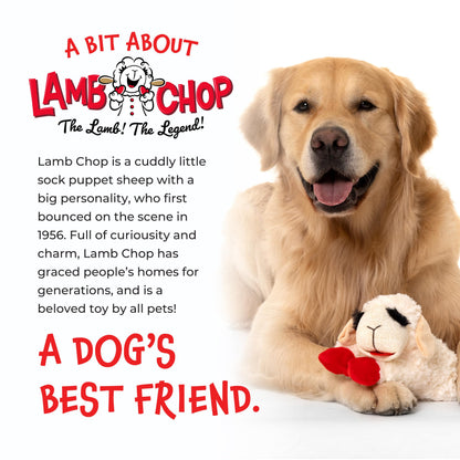 MultiPet MU48375 Plush Dog Toy, Lambchop, 10'', White