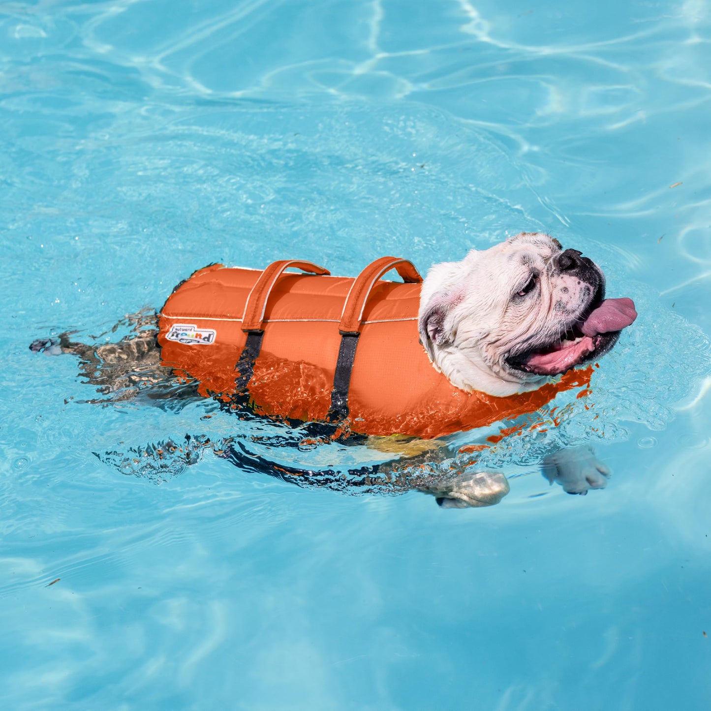 Outward Hound Granby Splash Dog Life Jacket with Handle, Reflective Floating Vest for Swimming & Boating, Maximum Buoyancy, All Skill Levels, Extra-Small Dogs & Puppies (11–15" Girth), Orange, X-Small