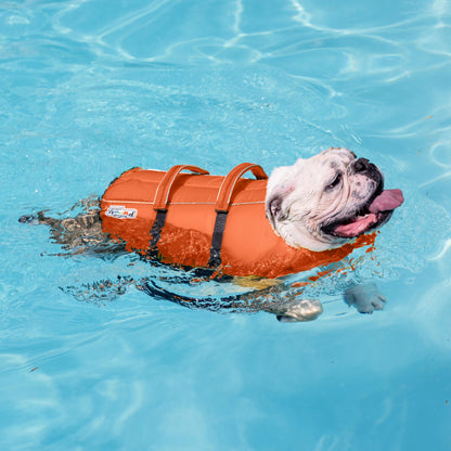 Outward Hound Granby Splash Dog Life Jacket with Handle, Reflective Floating Vest for Swimming & Boating, Maximum Buoyancy, All Skill Levels, Extra-Small Dogs & Puppies (11–15" Girth), Orange, X-Small