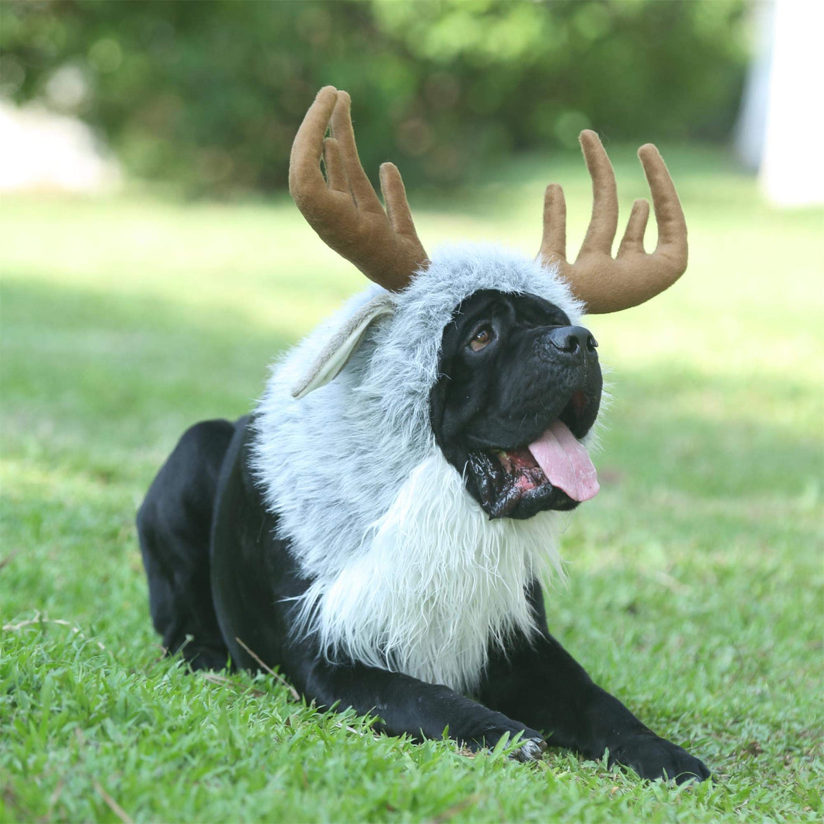 Onmygogo Funny Pet Moose Costumes for Dog, Cute Furry Pet Wig for Halloween Christmas, Pet Clothing Accessories (L, Moose) 🍁 All In One Marketplace Canada