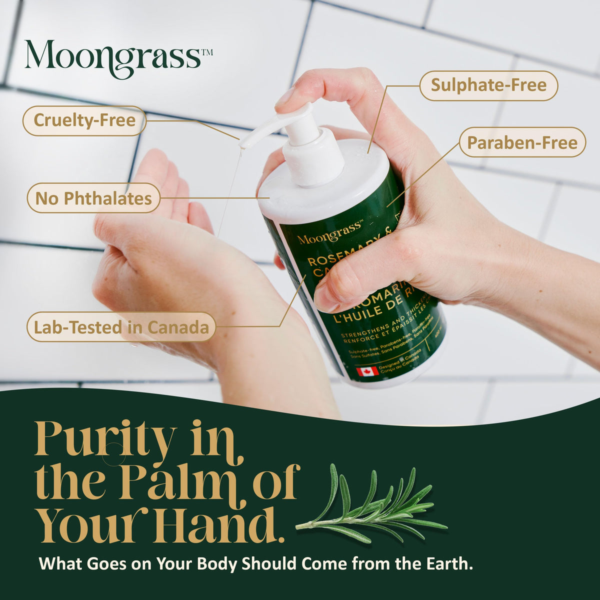 Moongrass Rosemary Shampoo with Castor Oil, Plant-Based, Designed in Canada 🍁 All In One Marketplace Canada