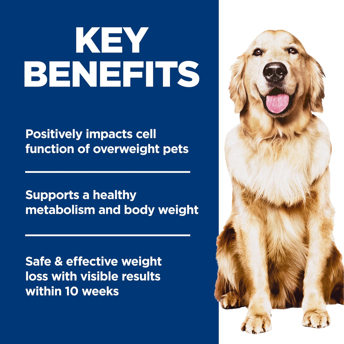 Hill's Science Diet, Perfect Weight, Adult, Dry Dog Food, 5.44kg