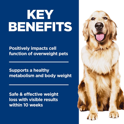 Hill's Science Diet, Perfect Weight, Adult, Dry Dog Food, 5.44kg