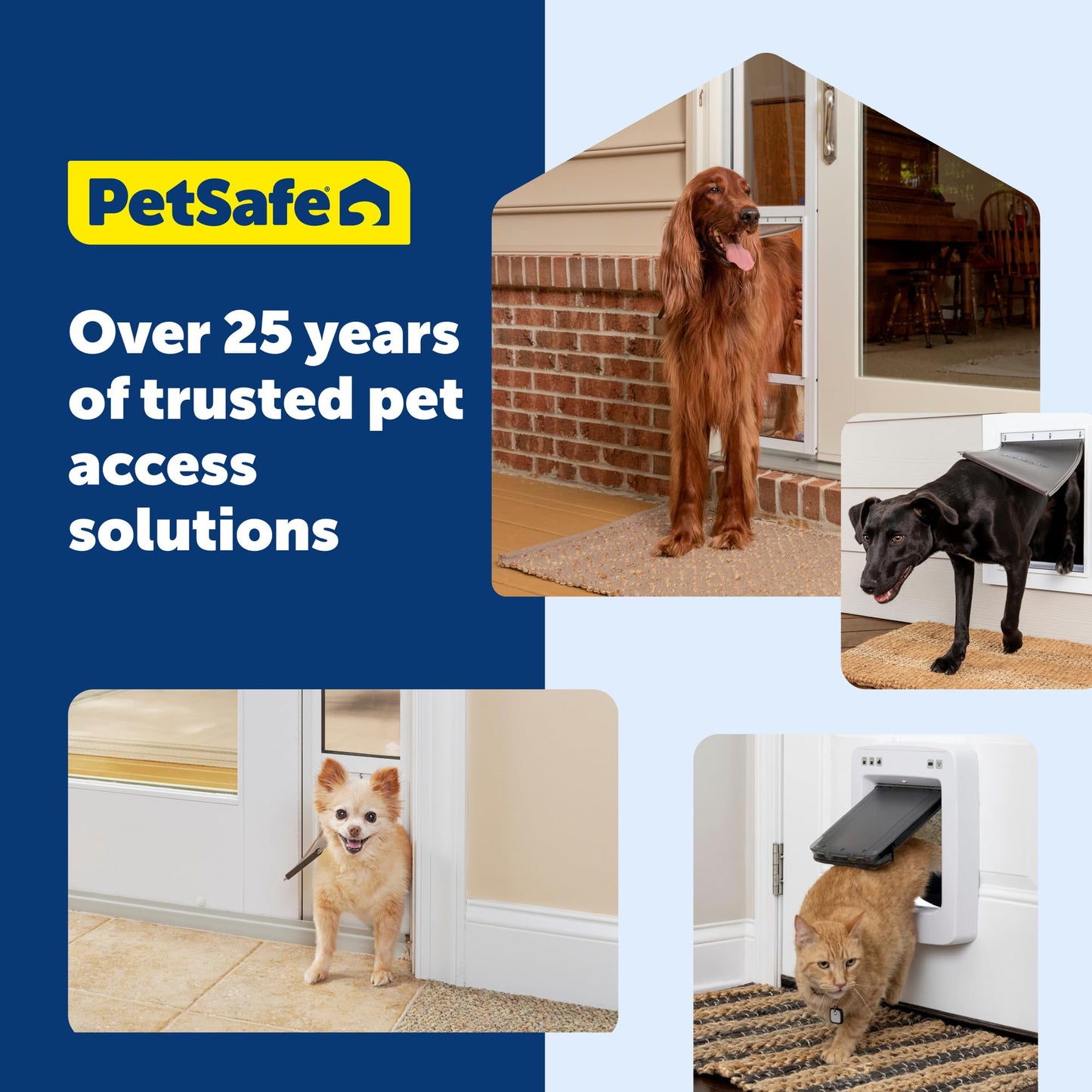 PetSafe 4-Way Locking Interior Cat Door - Tinted Privacy Door for Cat Litter Box or Pet Feeder, Built-in Door Lock, DIY Easy Install 🍁 All In One Marketplace Canada
