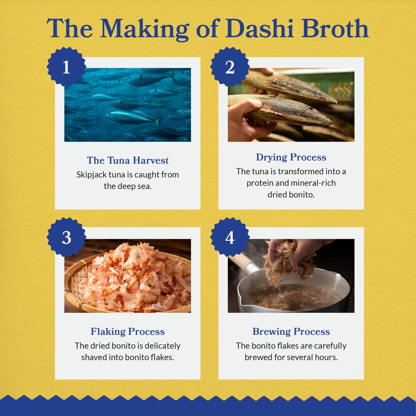 INABA Dashi Delights for Cats, 70 gram Cup, 12 Cups Total, Seafood Variety INABA
