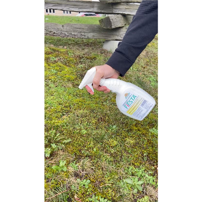Neudorff Fiesta Lawn Weed Killer Double Strength RTU, See Results in Hours & Can Reseed Lawn 1 Day After Treatment, People & Pets Can Enter Treated Area When Spray Dries, Made with Iron (946 ML)