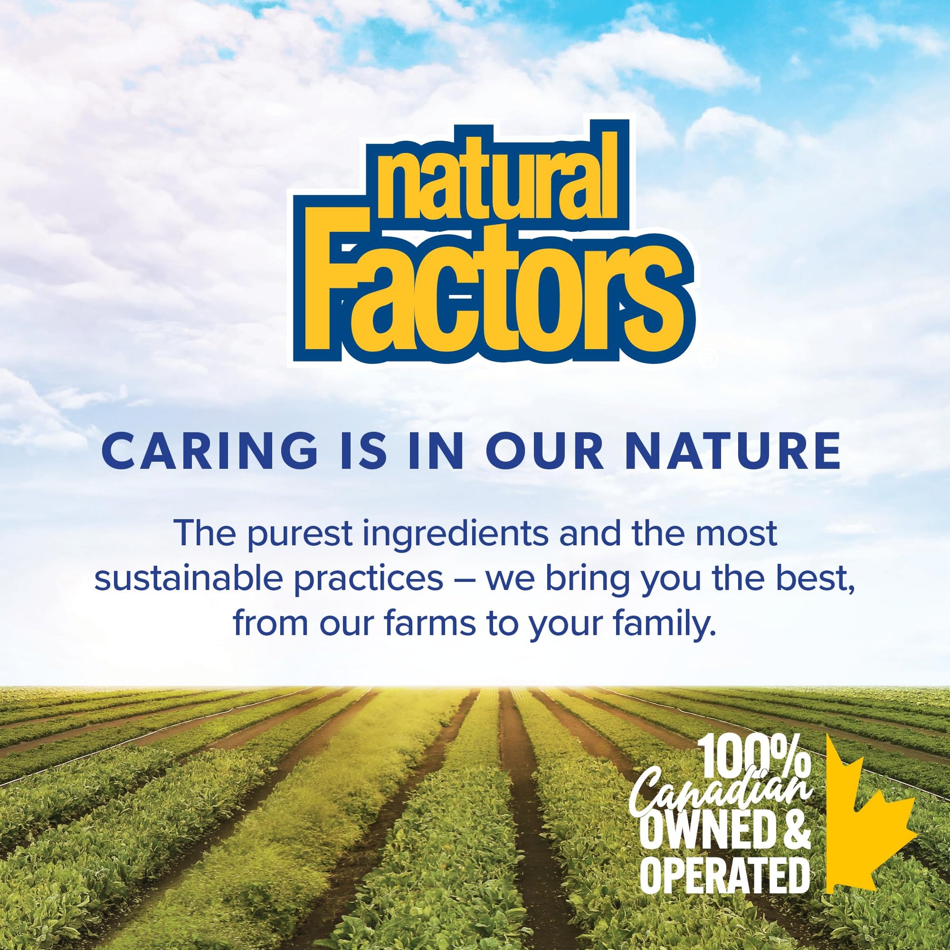 Natural Factors Liposomal Vitamin C, HIGH ABSORPTION, 180 Liquid Softgels, 1000 mg per Serving (2 Softgels), Immune Support, Antioxidants, Proudly Canadian - Available at All In One Marketplace Canada
