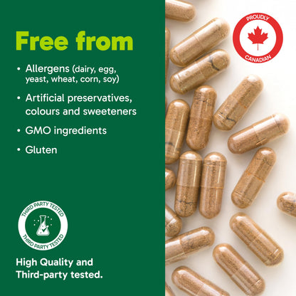 Organika Beef Liver Plus Choline- Sourced from Grass-Fed + Finished Cattle, Pasture Raised, High in Vitamins and Minerals, Supports Liver Function, Energy Levels, and Immunity- 90caps - Available at All In One Marketplace Canada