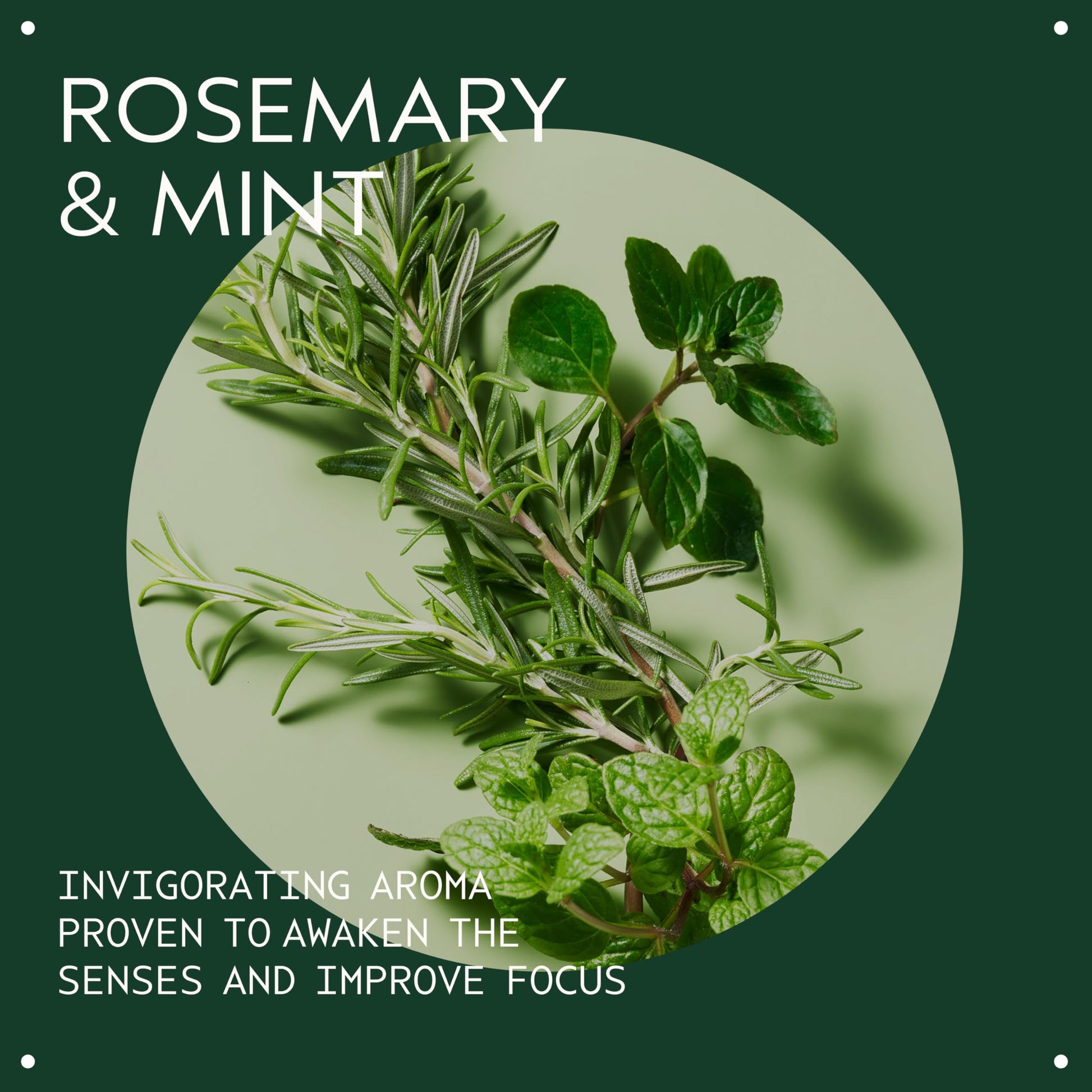 Aveda Rosemary Mint Purifying Shampoo | Clarifying Shampoo | Adds Shine | for Normal to Oily Hair, Fine to Medium Hair Types | 97% Naturally Derived*, 250ml - Available at All In One Marketplace Canada