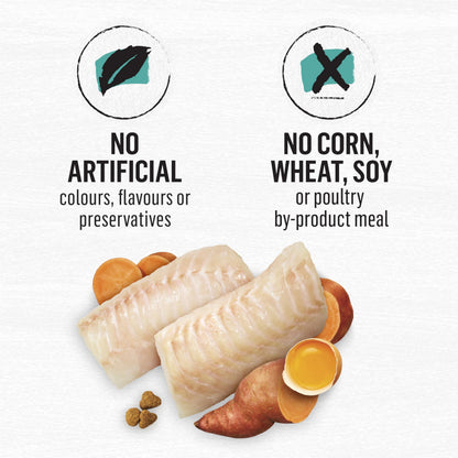 Beyond Grain Free Natural Dry Cat Food, Wild-Caught Whitefish & Free Run Egg - 2.26 kg Bag