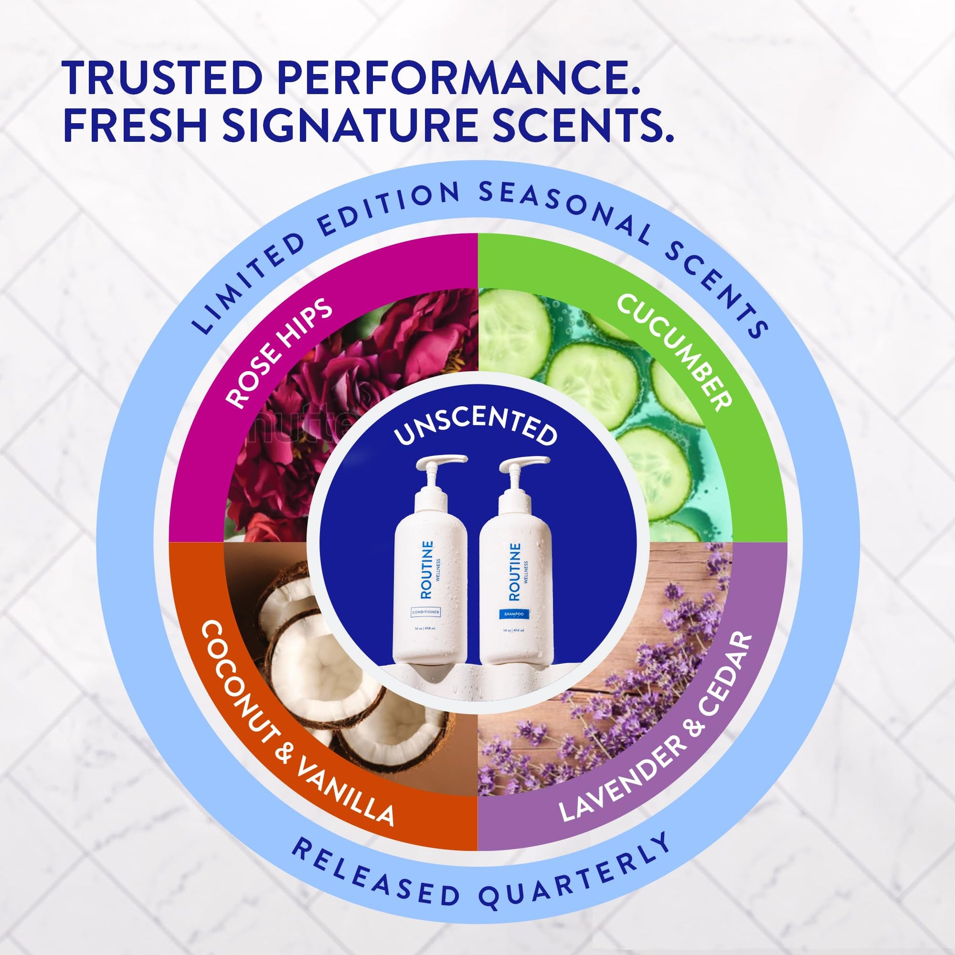 Routine Wellness Anti-Thinning Shampoo and Conditioner Set for Thinning Hair - Biotin, Peptides for Women & Men - Color Safe Shampoo for Hair Loss & Healthier Hair - Rose Hips Set - Available at All In One Marketplace Canada
