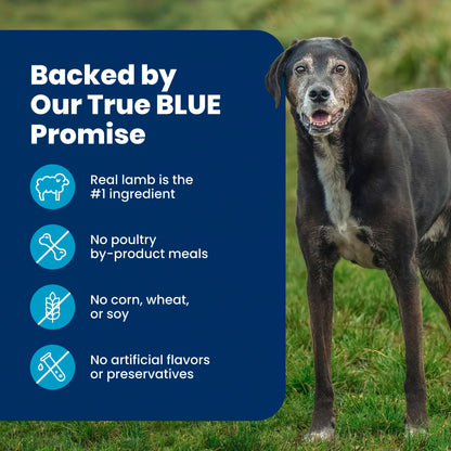 Blue Buffalo Life Protection Formula Lamb & Brown Rice Large Breed Adult Dry Dog Food, Supports Immunity with Antioxidant-Rich LifeSource Bits, Promotes Healthy Muscles, 11.7kg/26lbs