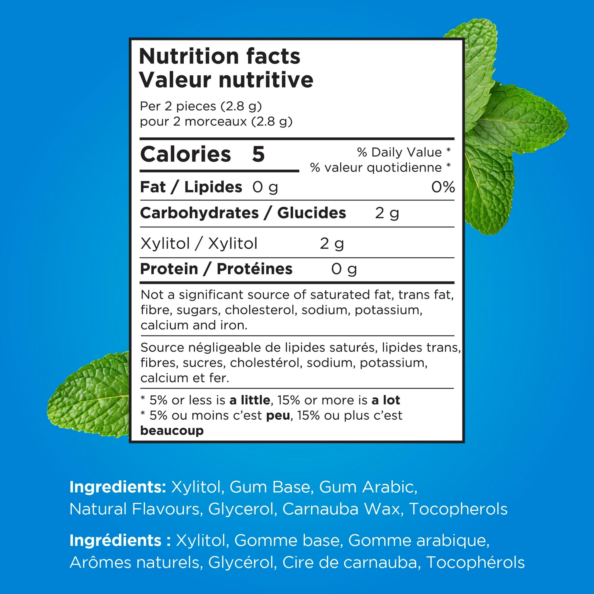 PUR Gum | Aspartame Free Chewing Gum | 100% Xylitol | Natural Peppermint Flavoured Gum, 55 Pieces (Pack of 6) - Available at All In One Marketplace Canada