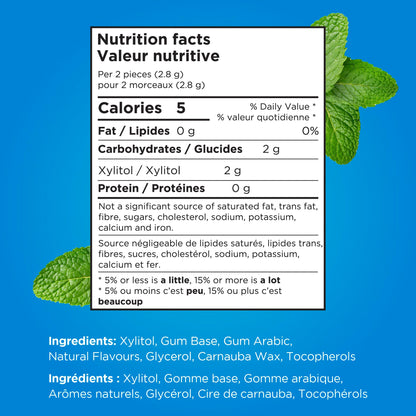PUR Gum | Aspartame Free Chewing Gum | 100% Xylitol | Natural Peppermint Flavoured Gum, 55 Pieces (Pack of 6) - Available at All In One Marketplace Canada