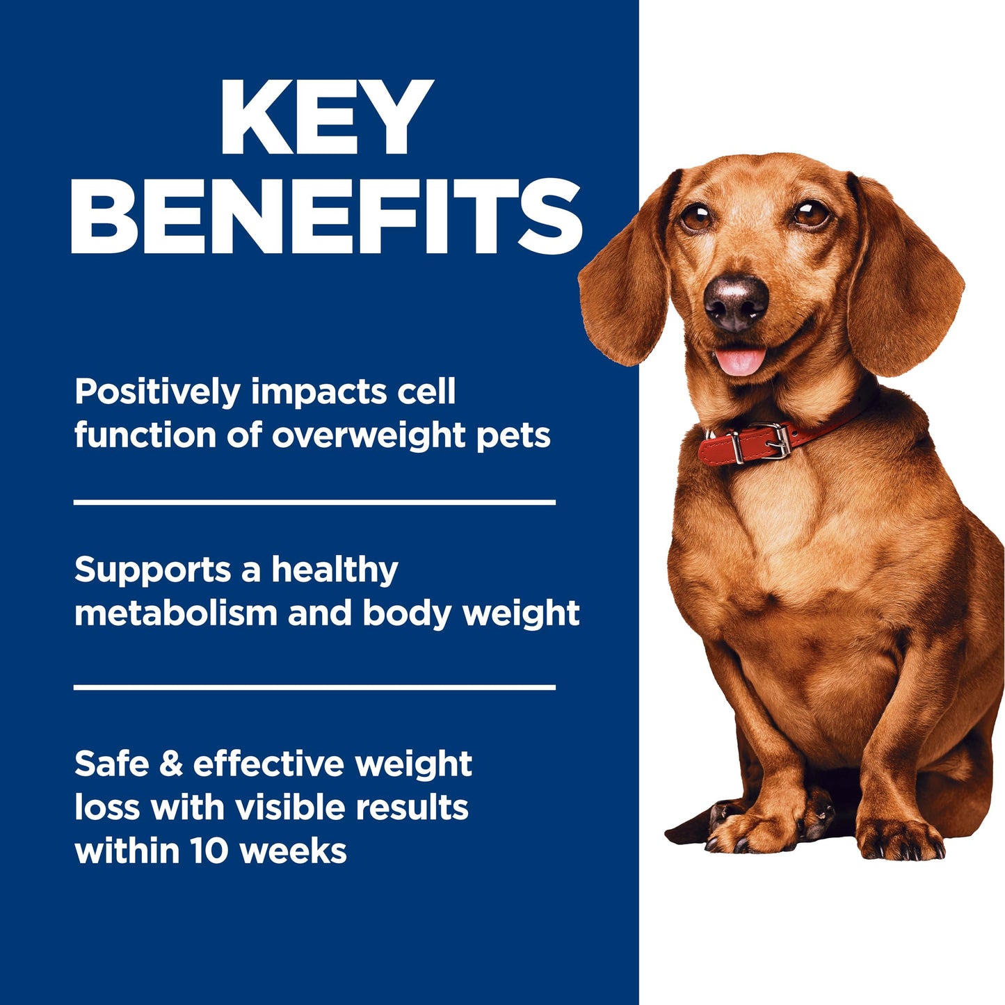 Hill's Science Diet Adult Perfect Weight Small & Mini Chicken Recipe Dry Dog Food 1.81 kg Bag Hill's Science Diet