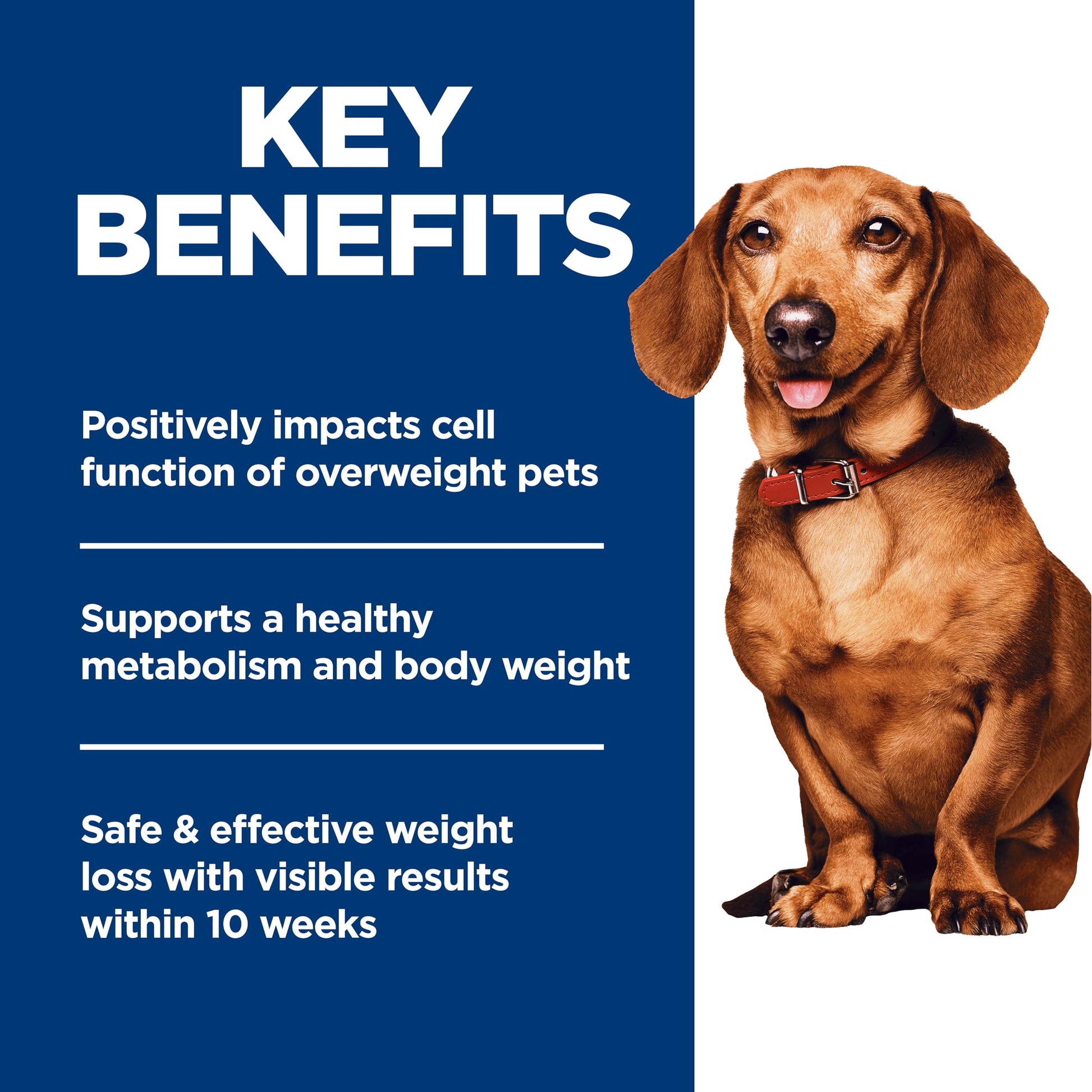Hill's Science Diet Adult Perfect Weight Small & Mini Chicken Recipe Dry Dog Food 1.81 kg Bag Hill's Science Diet