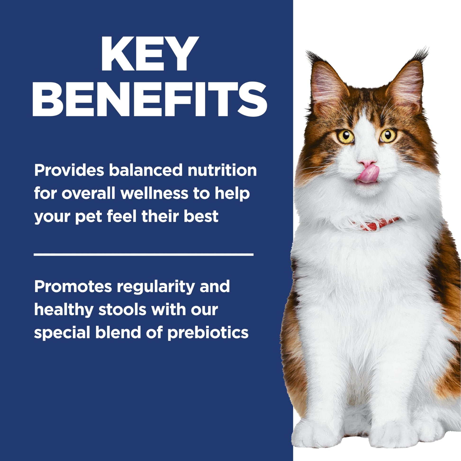 Hill's Science Diet Adult Perfect Digestion Salmon, Brown Rice & Whole Oats Recipe Dry Cat Food 1.58 kg Bag Hill's Science Diet