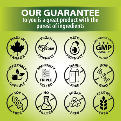 GNA Naturals - Bamboo Silica with Biotin 10,000mcg, 90 v-caps - A Supplement for Radiant Hair, Skin and Nails - Silica Supplement for Hair, Nail, Joint Care and Skin Vitality - Made in Canada - Available at All In One Marketplace Canada