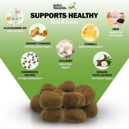 Deley Naturals Hip and Joint Supplement for Dogs - Glucosamine Chondroitin MSM & Collagen for Dogs - Dog Joint Supplement, Smaller Chews, Low Calories, Same Ingredients - 120 Chicken Flavor Chews