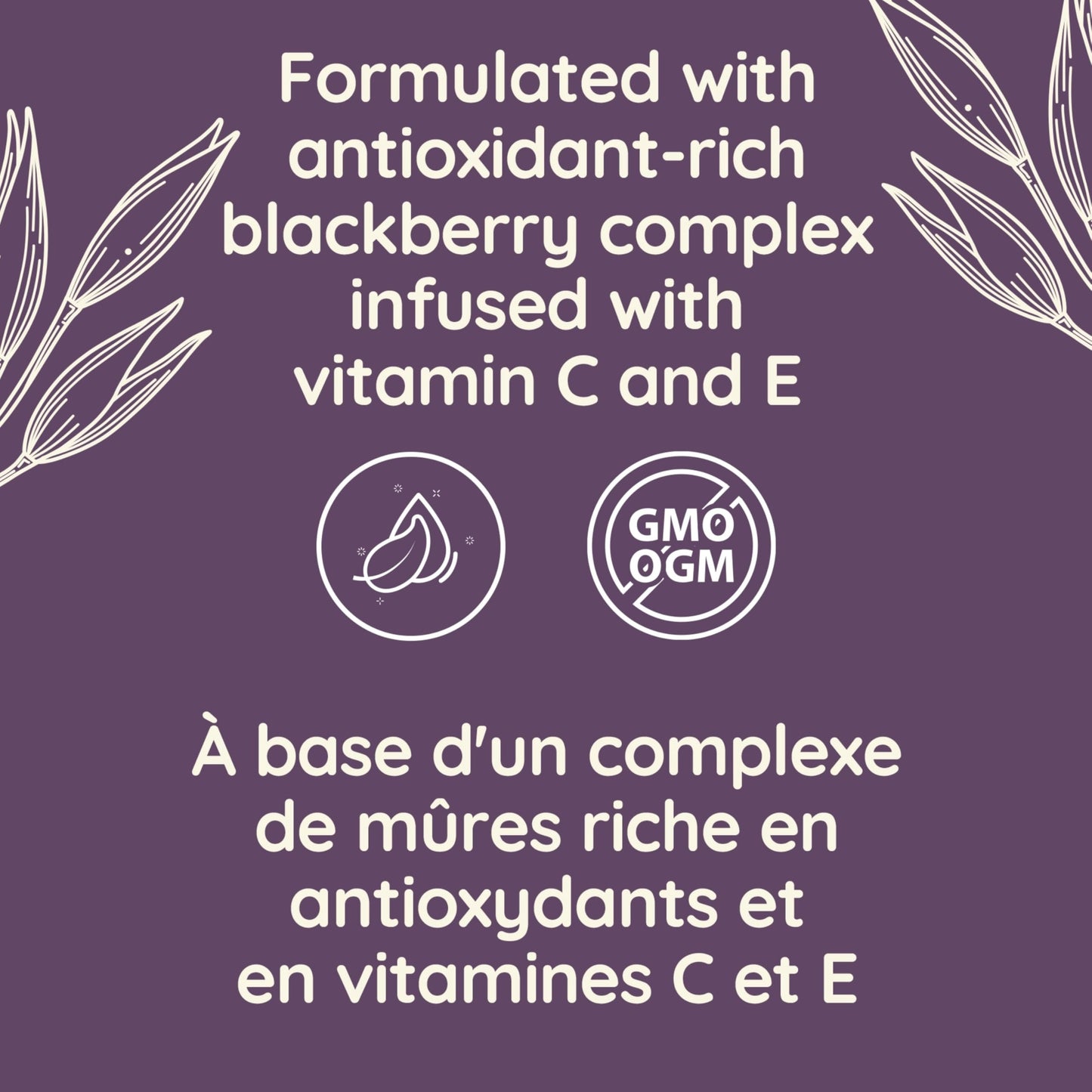 Aveeno Absolutely Ageless Night Cream/Aveeno Absolutely Ageless Restorative Night Cream, Anti Aging Moisturizer, Vitamins, Blackberry Complex, 48-mL 🍁 All In One Marketplace Canada