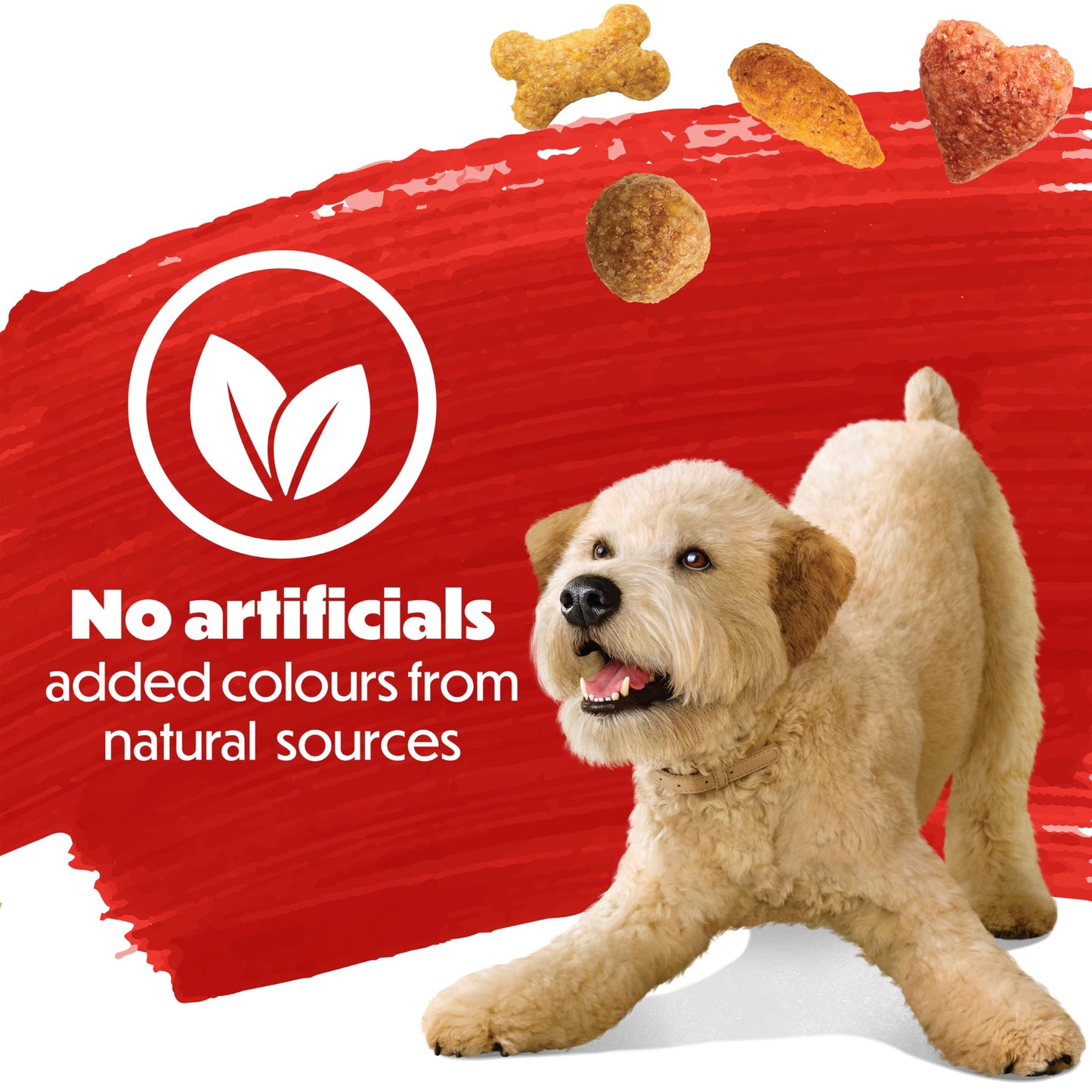 Beneful Originals Dry Dog Food, Real Beef - 7 kg Bag (1 Pack) 🍁 All In One Marketplace Canada