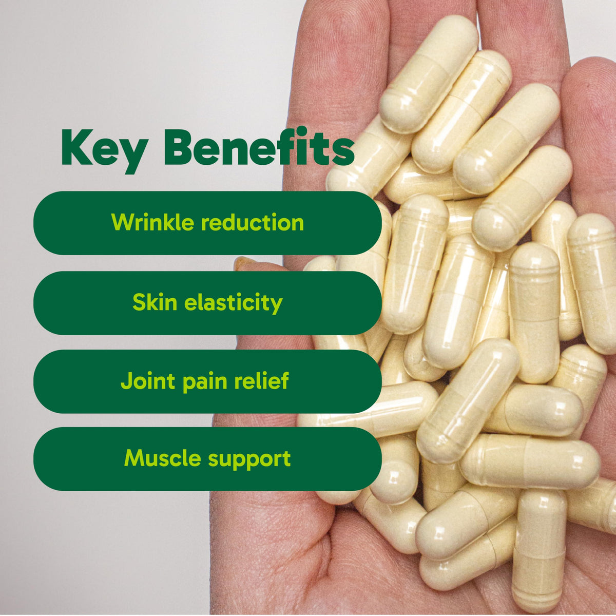 Organika Biocell Collagen- Type 2 Collagen, Hyaluronic Acid, Chondroitin Sulfate, Joint Support- 180caps