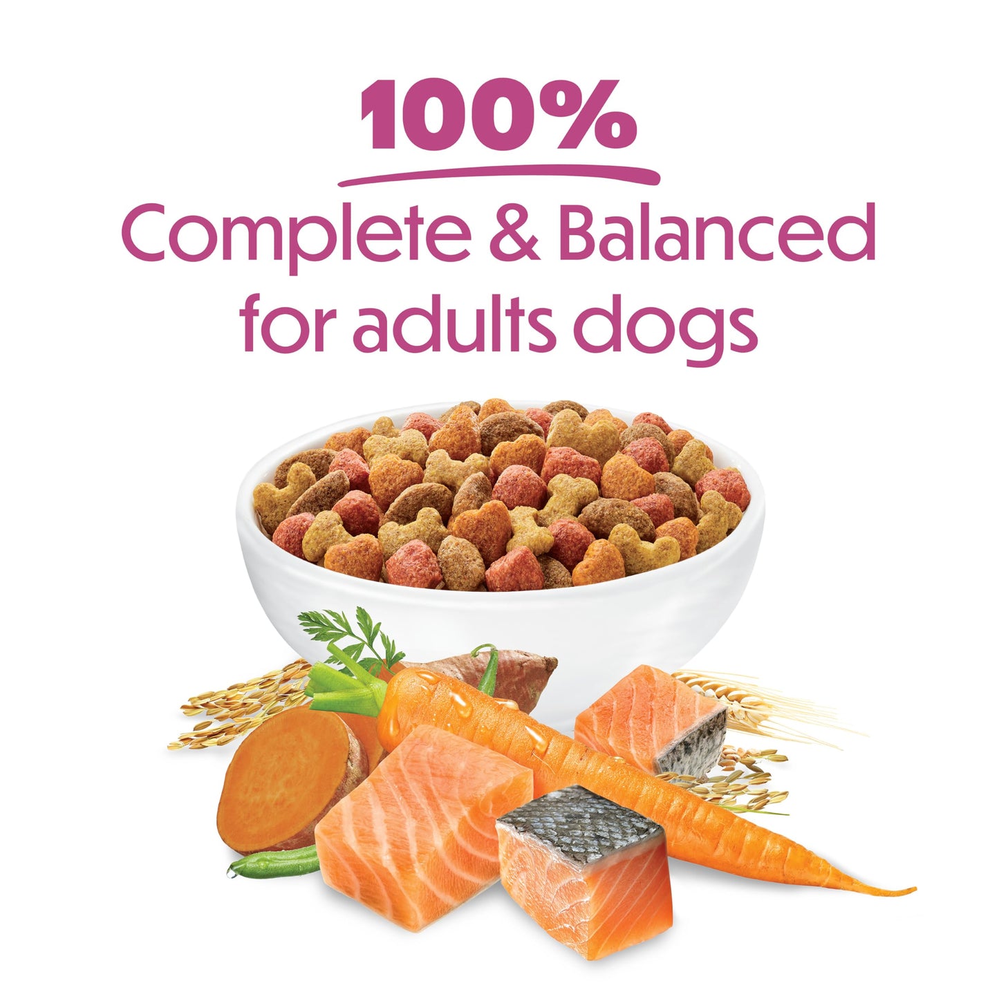 Beneful Originals Dry Dog Food, Real Salmon - 12.7 kg Bag 🍁 All In One Marketplace Canada