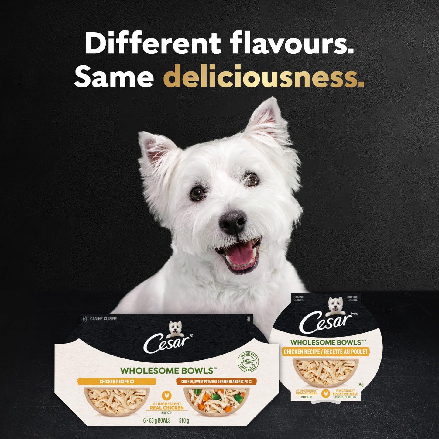 CESAR Wholesome Bowls Adult Wet Dog Food, Chicken Flavour, 85g (6 Pack) Cesar
