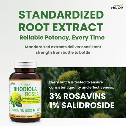 Herba Rhodiola Rosea Supplement 200mg - 90 Capsules | 6:1 Extract | Rhodiola Supplement with Min 3% Rosavins and 1% Salidrosides | Help Relieve Symptoms of Stress | Made in Canada - Available at All In One Marketplace Canada