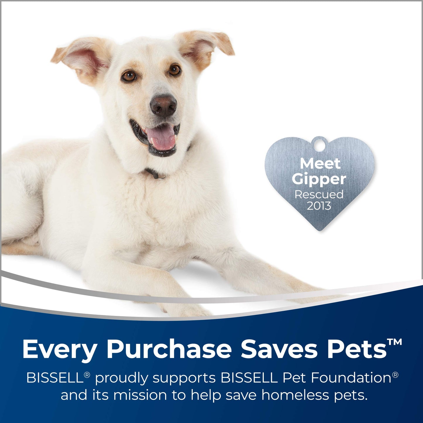 BISSELL Power Steamer Heavy Duty 3-in-1 Steam Mop, Handheld Steam Cleaner for Indoor and Outdoor Use, Garage Workshop Auto RV Deck Patio, 25 Accessories, Variable Steam, Wall Mount, 2685B - Available at All In One Marketplace Canada