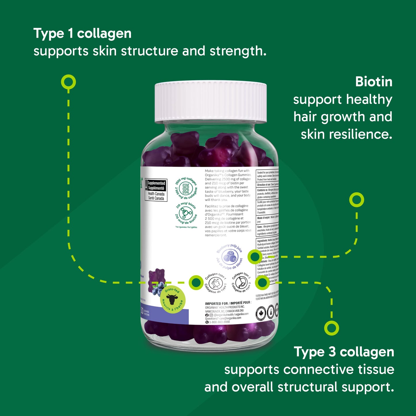 Organika Collagen Gummies with Biotin – 2500 mg Collagen Peptides Per Serving for Skin, Hair and Joint Health – Blueberry Bliss Flavour, Easy to Take – 90 Gummies - Available at All In One Marketplace Canada