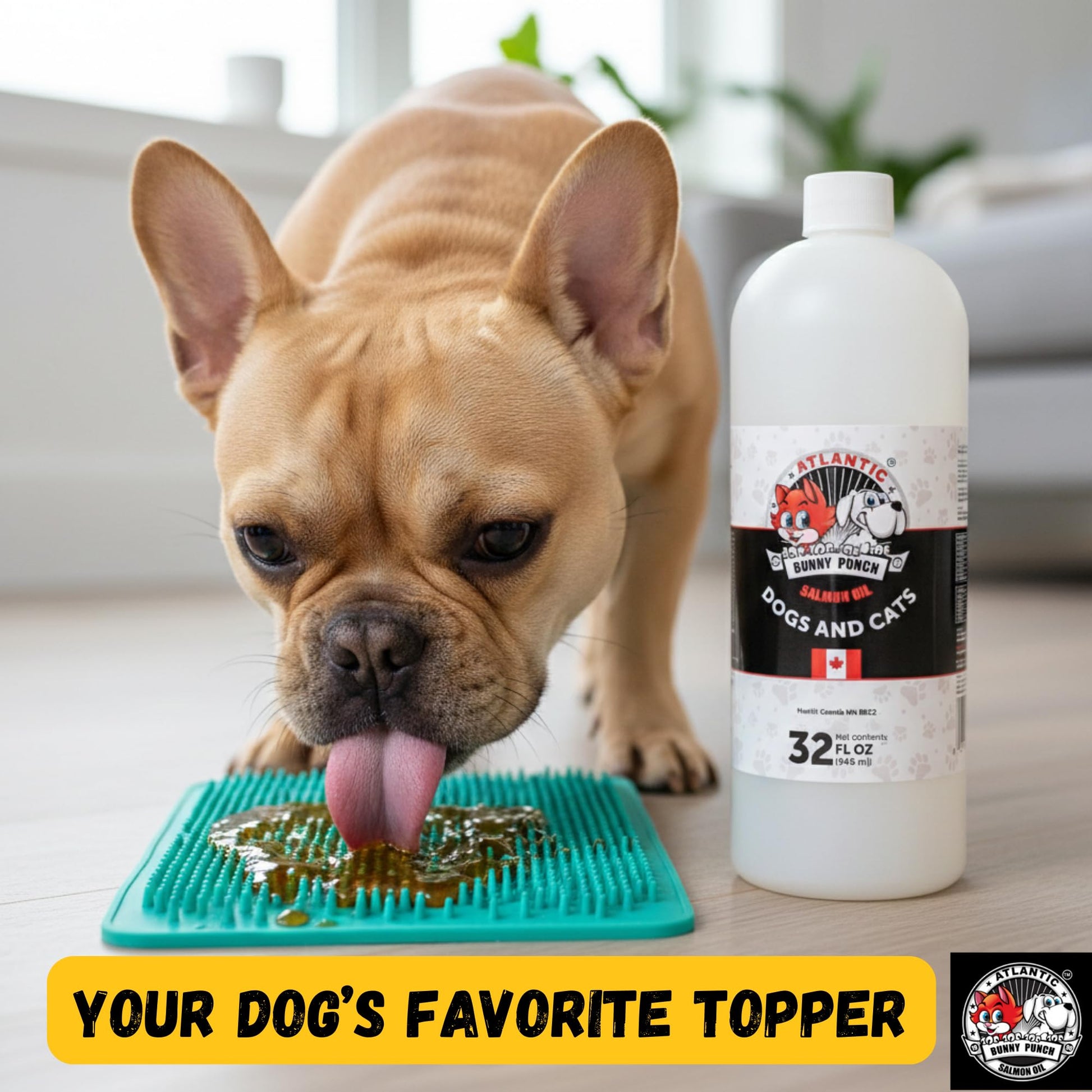 Bunny Punch Pure Atlantic Salmon Oil for Dogs & Cats - Liquid Food Topper - 32 oz - Available at All In One Marketplace Canada