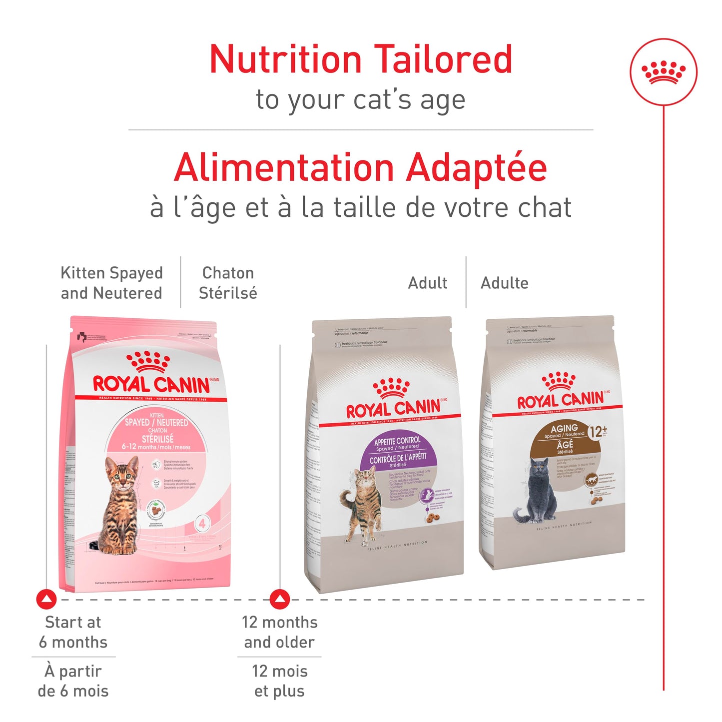Royal Canin Feline Health Nutrition Kitten Spayed/Neutered Dry Cat Food, 2.5 lb Bag ROYAL CANIN