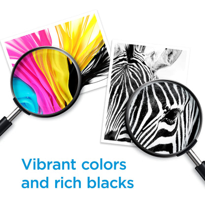 C2P05AN (HP 62XL) High-Yield Ink, 600 Page-Yield, Black 🍁 All In One Marketplace Canada