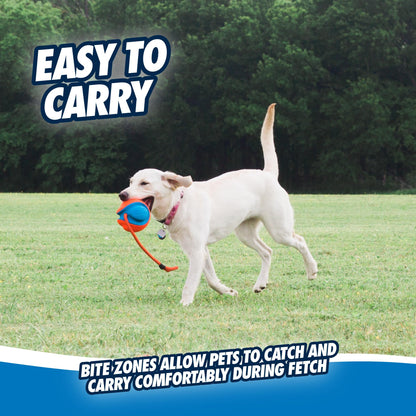 CHUCKIT! 32220 Pet Supplies Dog Toys Chuckit!