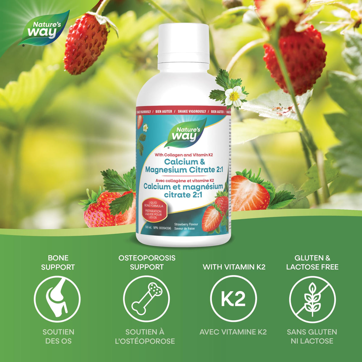 Nature's Way Calcium and Magnesium Citrate Supplement, 2:1 Ratio – Helps Support Bone & Teeth Health – Contains Vitamins D3 and K2, and Collagen to Support Immune System – Strawberry Flavour, 500 ml
