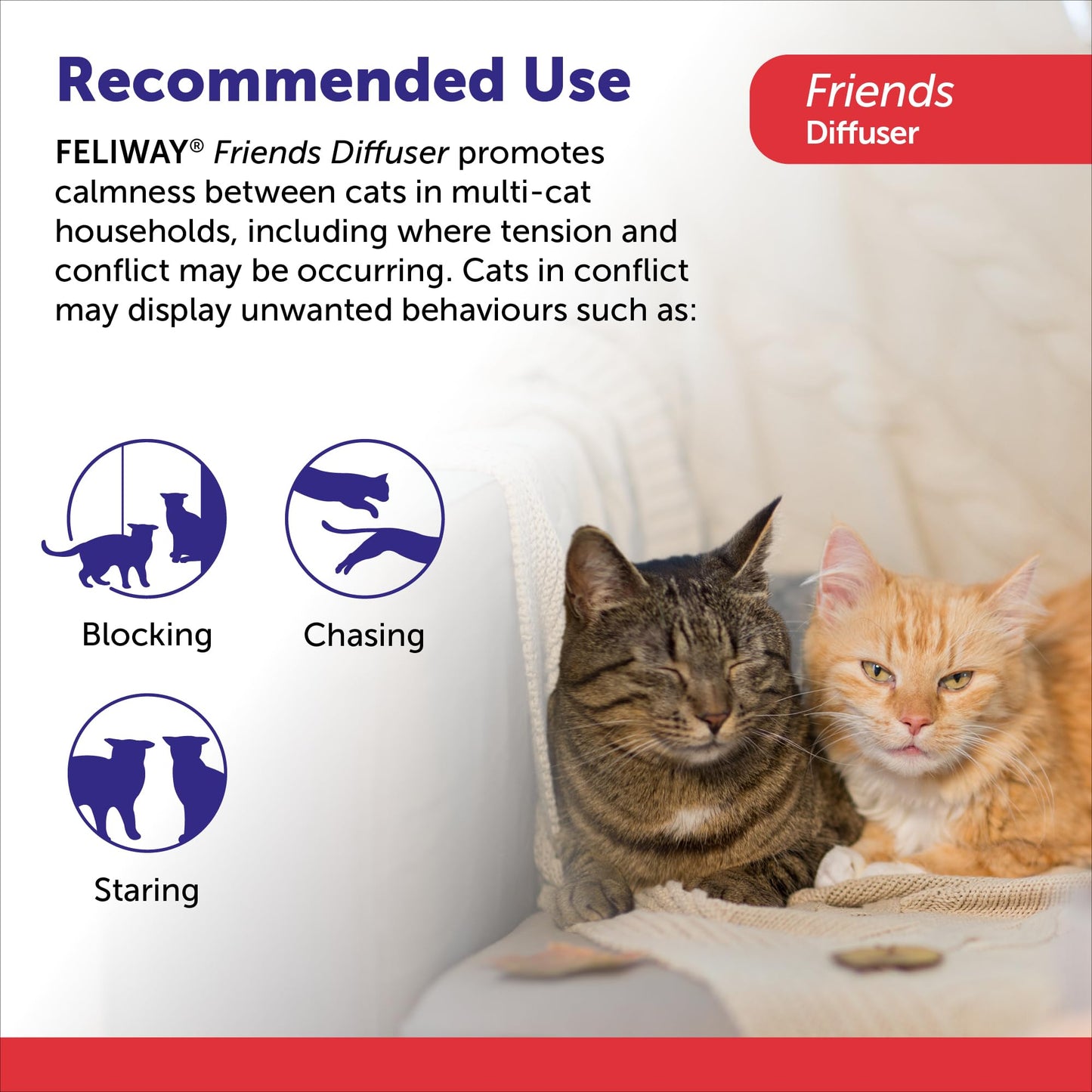 FELIWAY Friends Diffuser Refill Value Pack, Promotes harmony between cats in multi-cat households, VHP Registered NN.X7C2, includes 3 Refills, Lasts 90 Days, Cat Calming Pheromones, 3 x 48ml