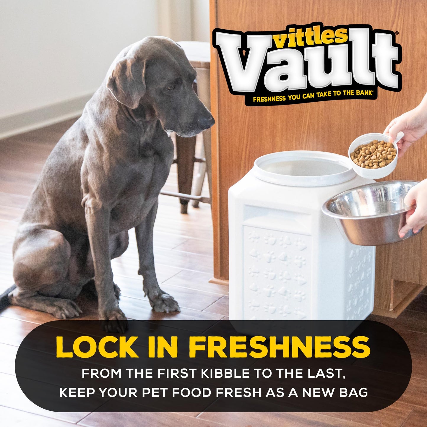 Gamma2 Vittles Vault Dog Food Storage Container (Durable, Food Safe, BPA Free Storage, Made in the USA with Recycled Materials)Holds up to 35 pounds 🍁 All In One Marketplace Canada Gamma2