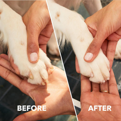 Dremel PawControl Dog Nail Grinder and Trimmer- Safe & Humane Pet Grooming Tool Kit- Cordless & Rechargeable Claw Grooming Kit for Dogs, Cats, and Small Animals 7760-PGK Dremel