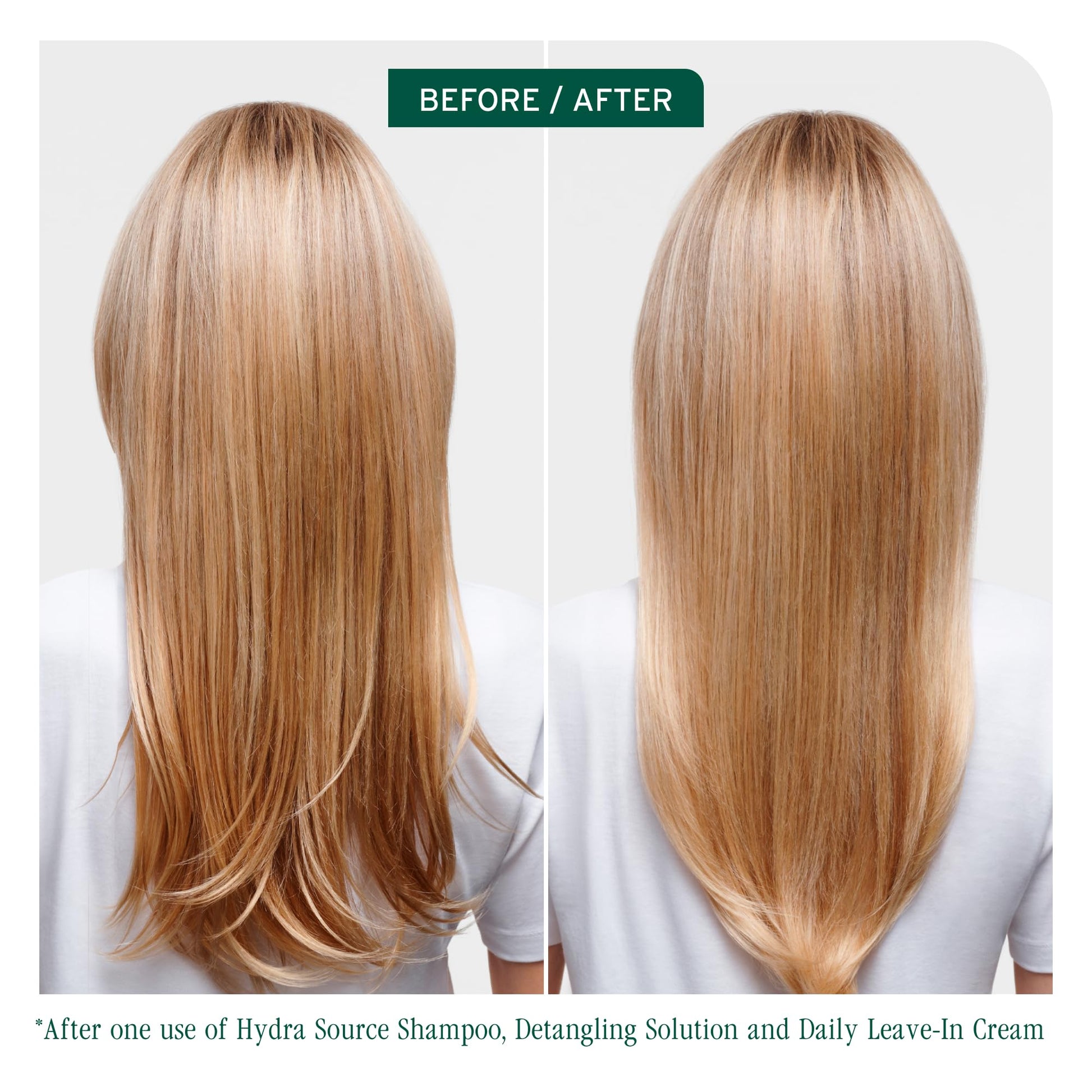 Biolage HydraSource Hydrating Shampoo for Dry Hair BIOLAGE
