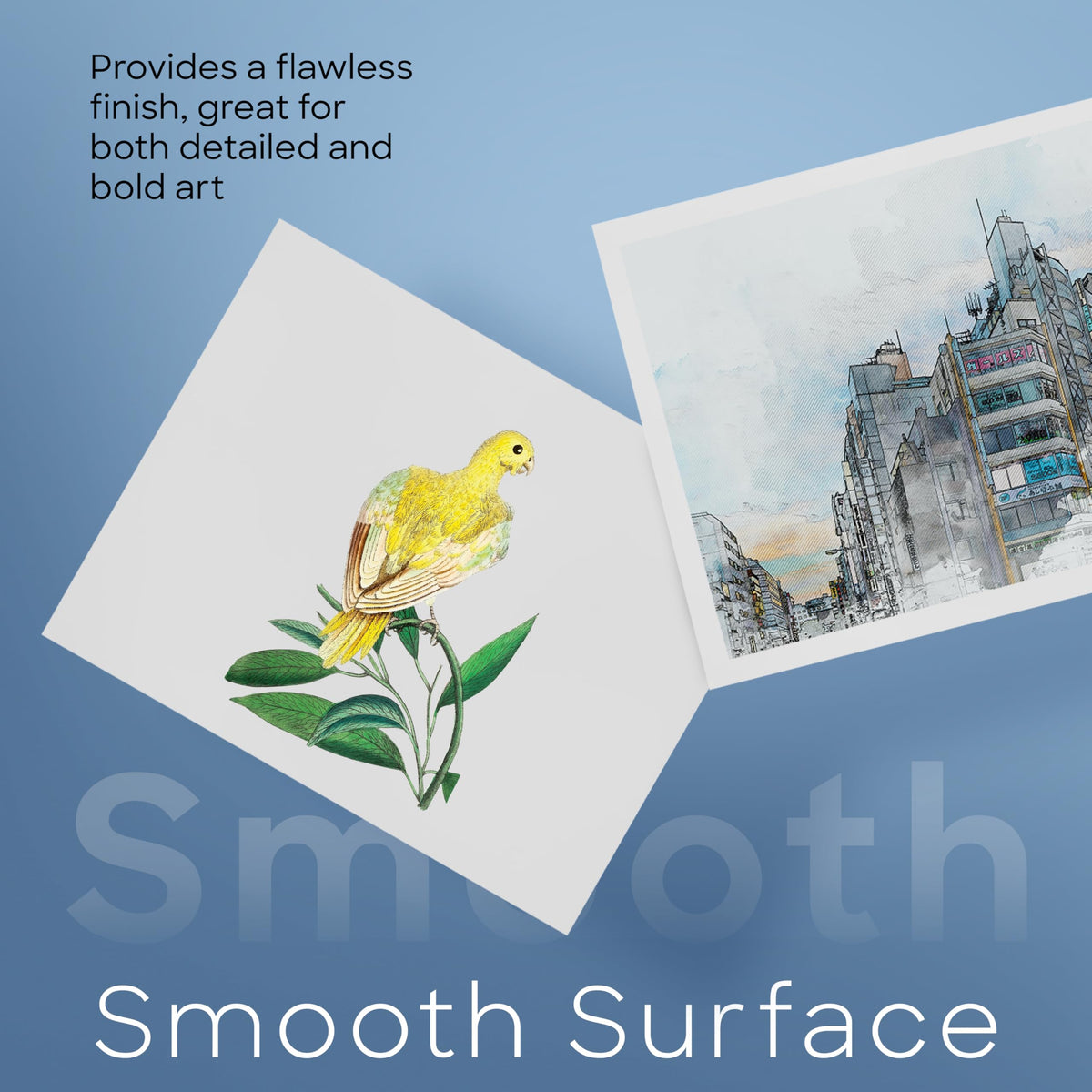 Merangue Bristol Board, Smooth 12-Point Coated Paper Craft Board, Versatile Poster Board, Art Supplies, 22" x 28", Pack of 24, White