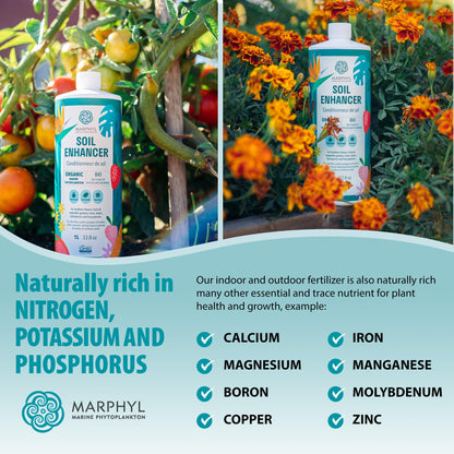 MARPHYL All-Purpose Plant Food – Organic Nutrient-Rich Fertilizer & Soil Enhancer for Indoor & Outdoor Flowers, Vegetables, Succulents, Bamboo & Hydroponics