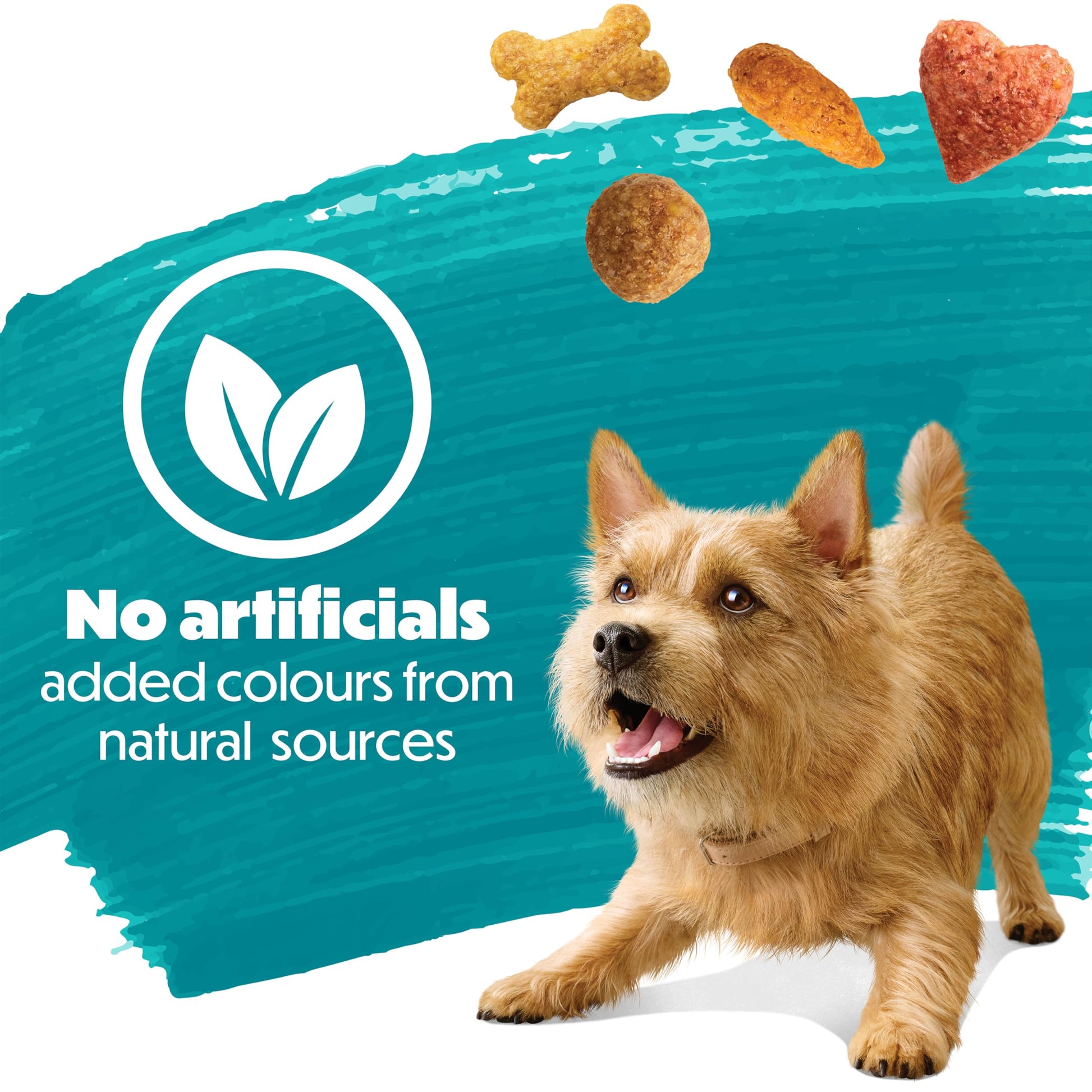Beneful IncrediBites Dry Dog Food for Small Dogs, Real Beef - 7 kg Bag - Available at All In One Marketplace Canada