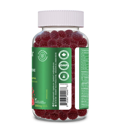 Organika Lion’s Mane Mushroom Gummies – 2000 mg Equivalent per Serving | Brain & Immune Support | Antioxidant Mushroom Supplement | Raspberry Flavour- 60 gummies Organika