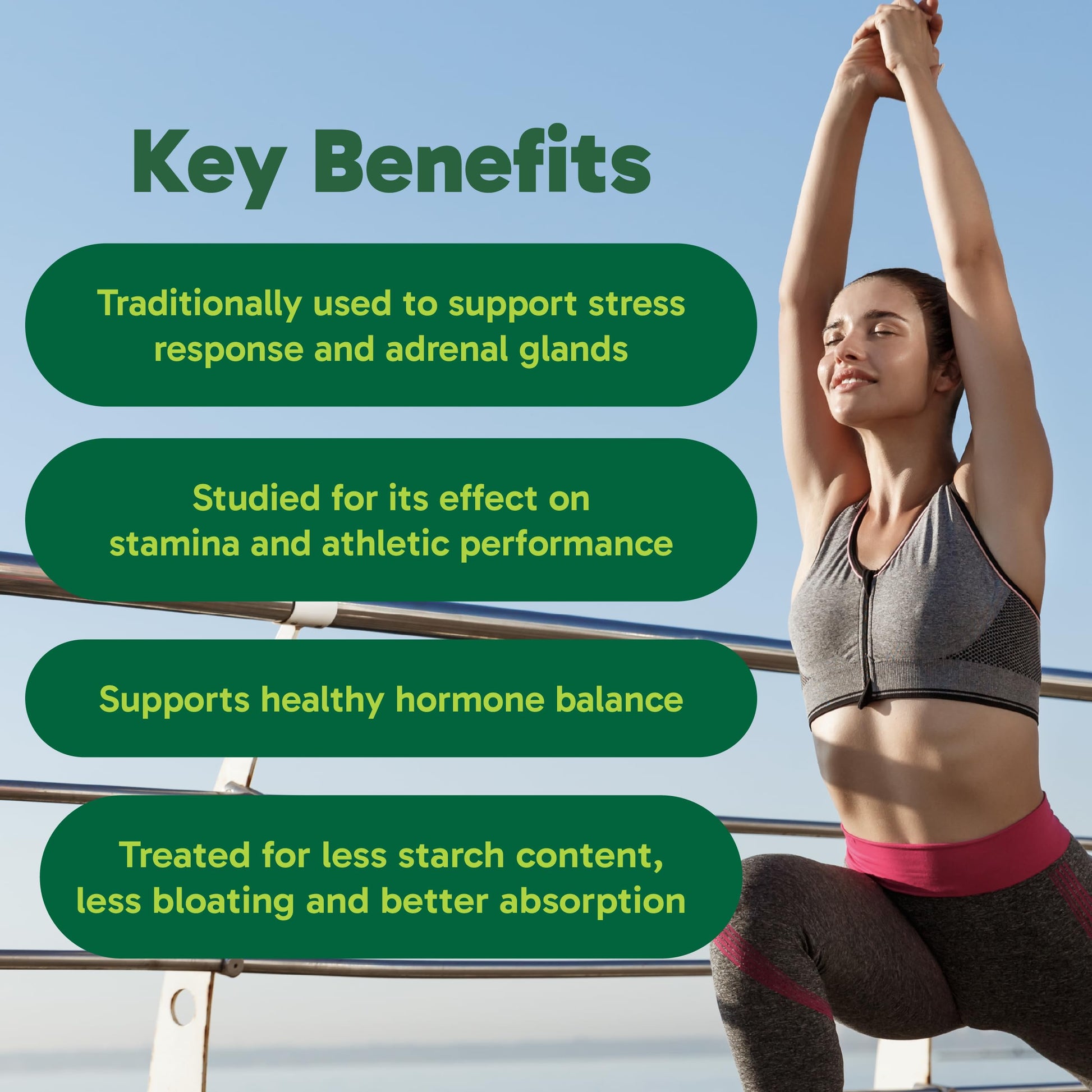 Organika Maca Certified Organic Powder- Gelatinized for High Bioavialability, Hormone Balance, Adaptogen to Help with Stress and Energy - 200 g Organika