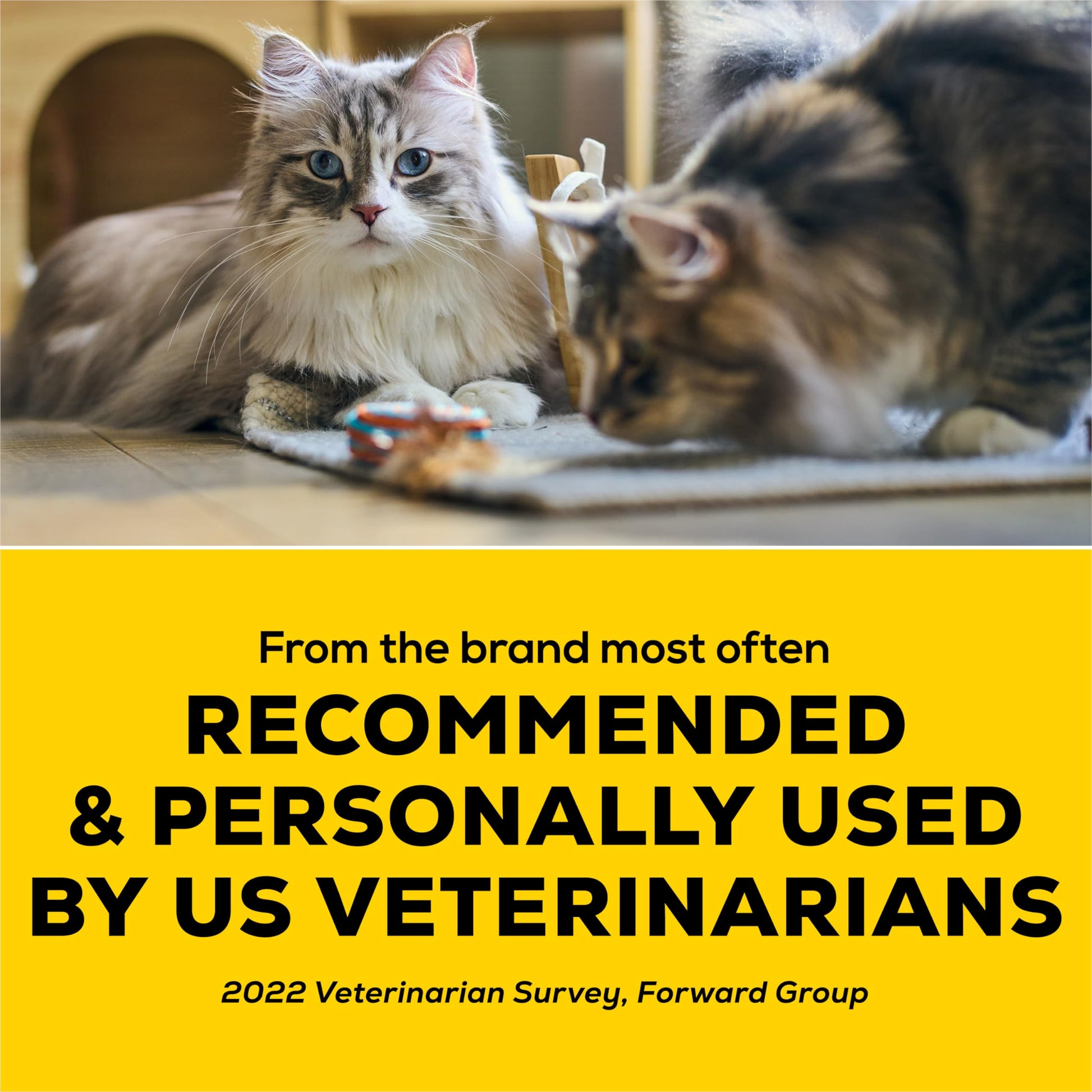 Tidy Cats 4-in-1 Strength Cat Litter, LightWeight Multi-Cat - 5.44 kg Box