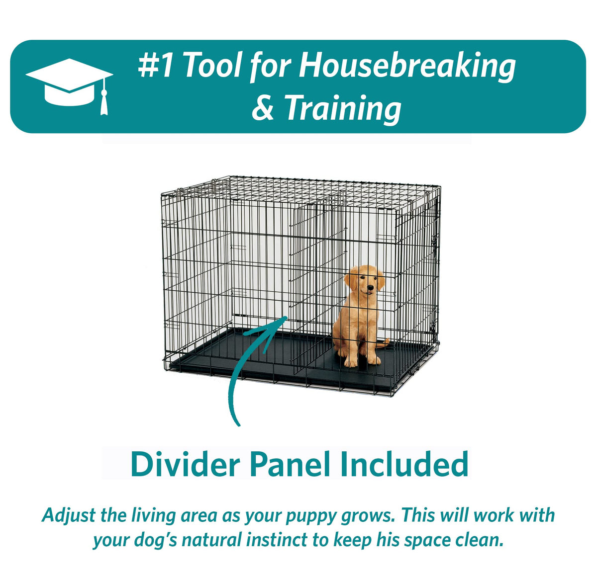 MidWest Homes for Pets 24-Inch iCrate for Small Breeds, 12-20 lbs, Double Door Folding Dog Crate with Divider Panel, Leak-Proof Tray & Secure Latches, Portable, Durable & Easy to Assemble
