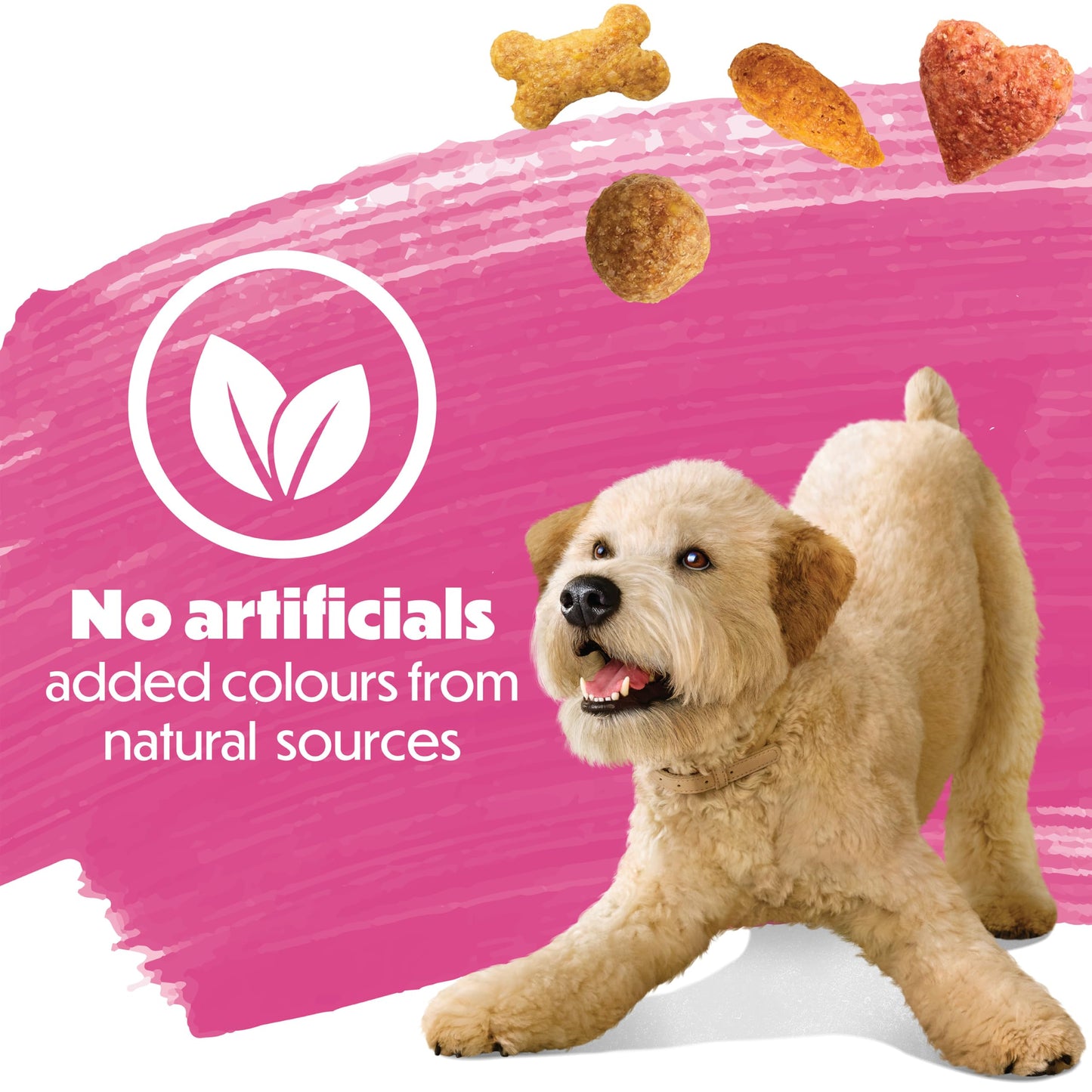 Beneful Originals Dry Dog Food, Real Salmon - 12.7 kg Bag 🍁 All In One Marketplace Canada