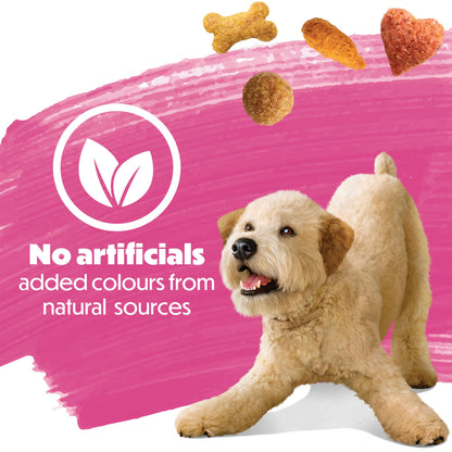 Beneful Originals Dry Dog Food, Real Salmon - 12.7 kg Bag 🍁 All In One Marketplace Canada